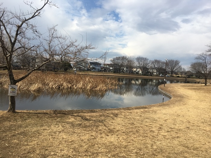 前橋総合運動公園の池
