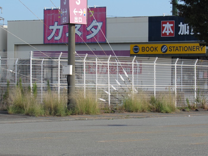 支線基部2