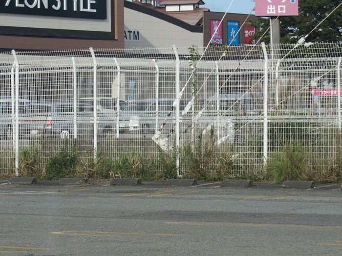 支線基部3