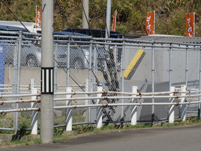 支線基部