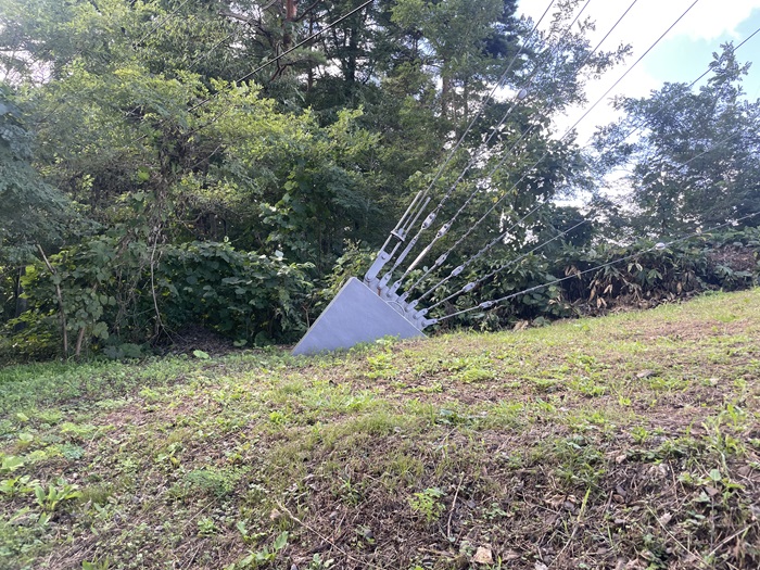 支線基部
