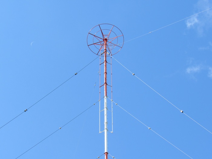 頂冠