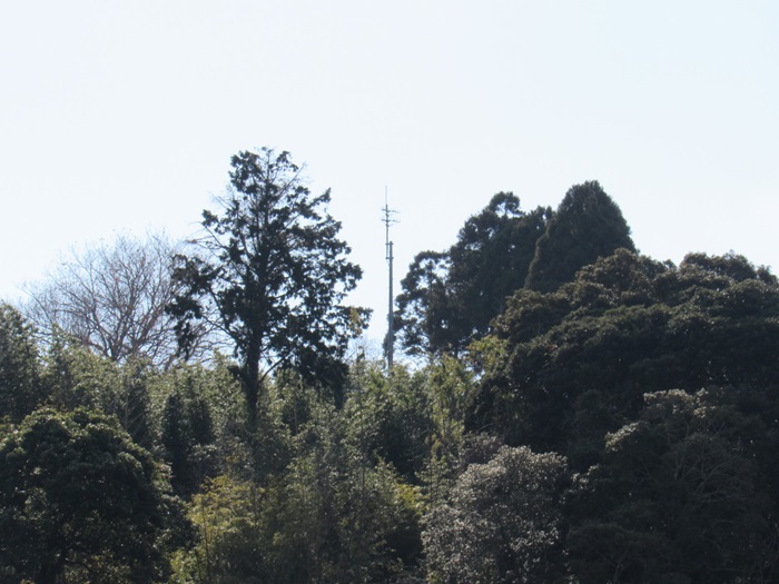 遠望撮影2