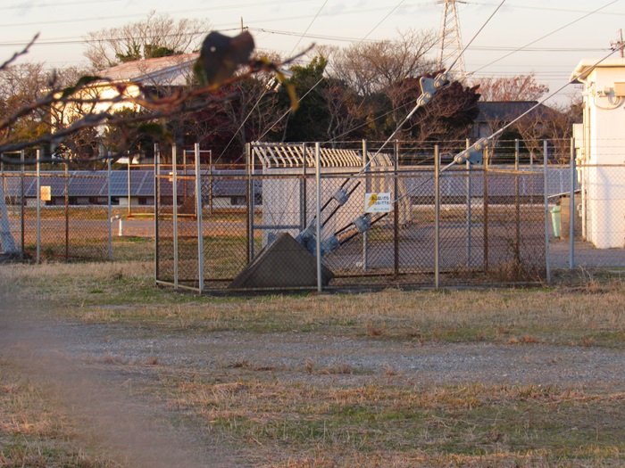 支線基部