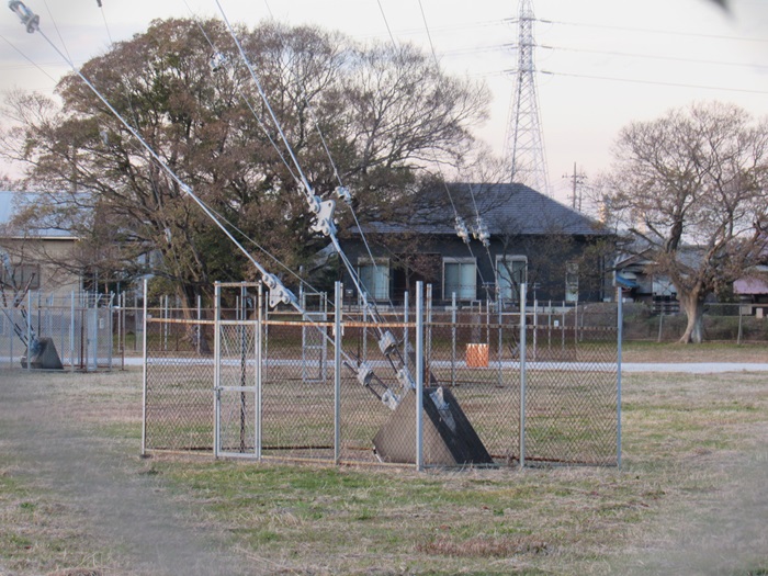 支線基部2