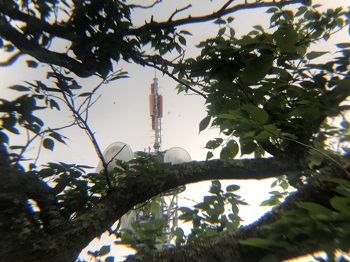 局舎3