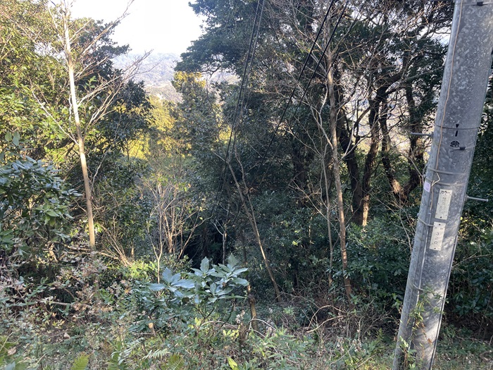 配電線