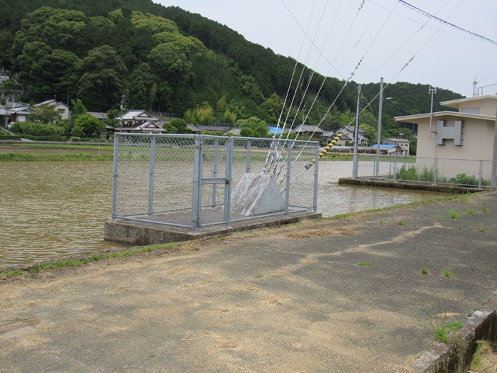 支線基部