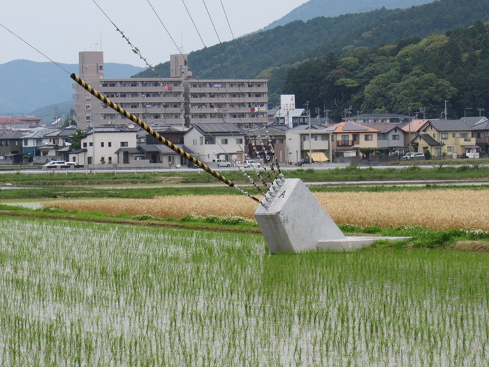 支線基部2