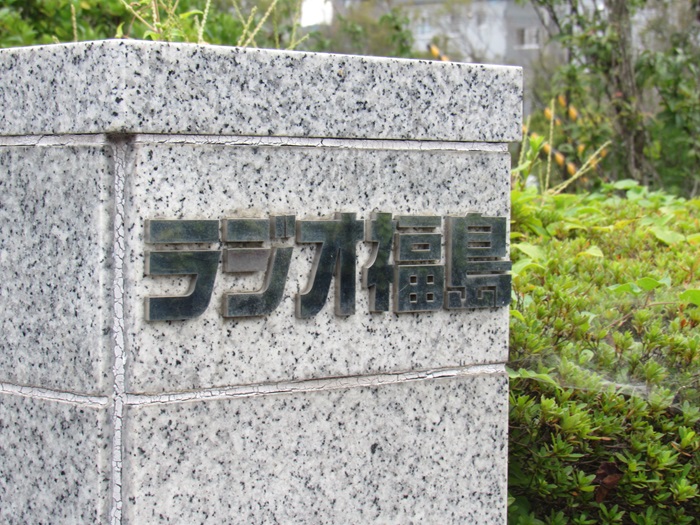 表示