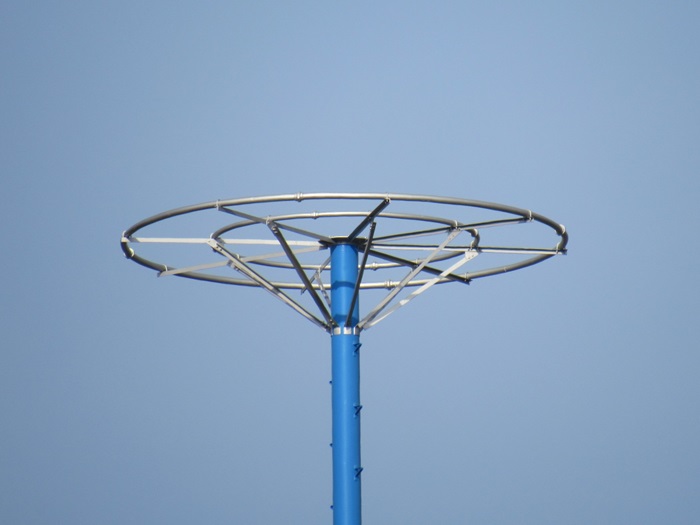 頂冠