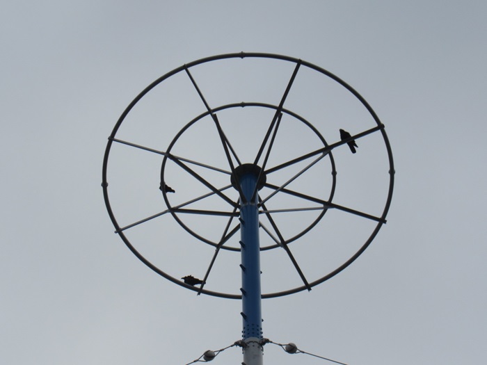 頂冠3