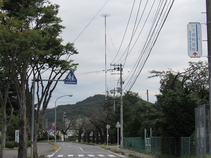 全体画像
