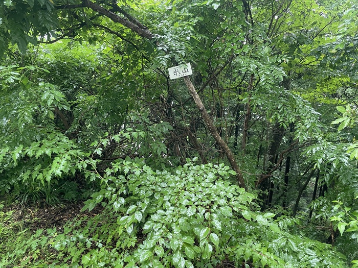 山頂