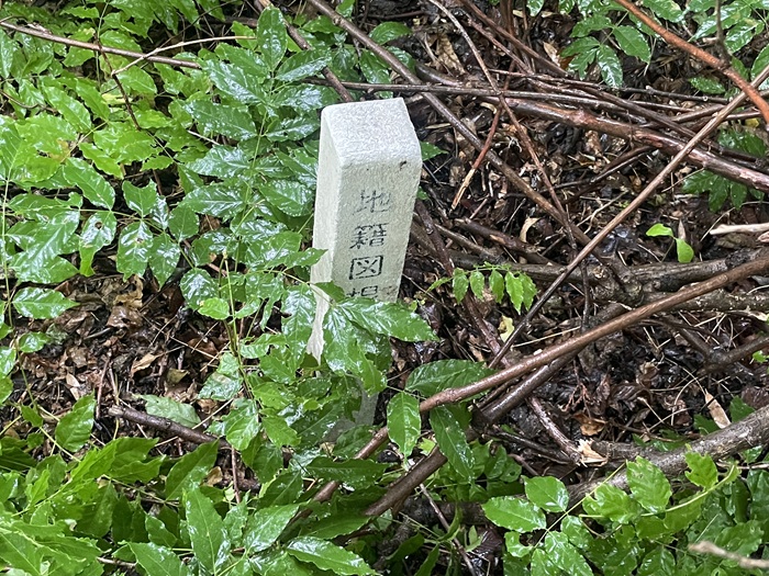 山頂3