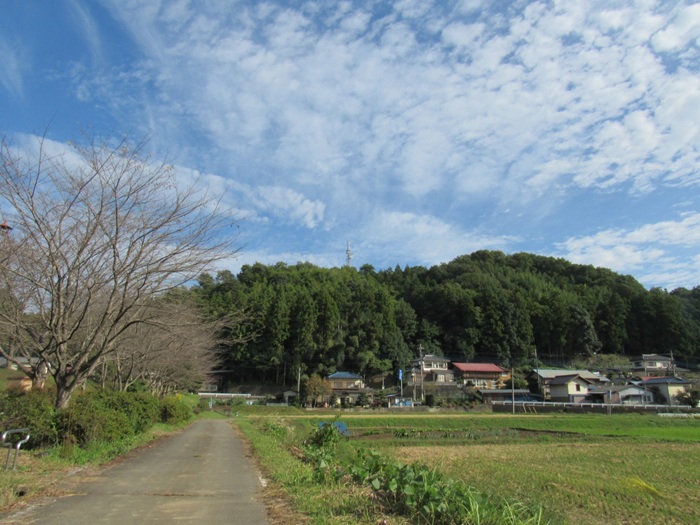 遠望撮影3