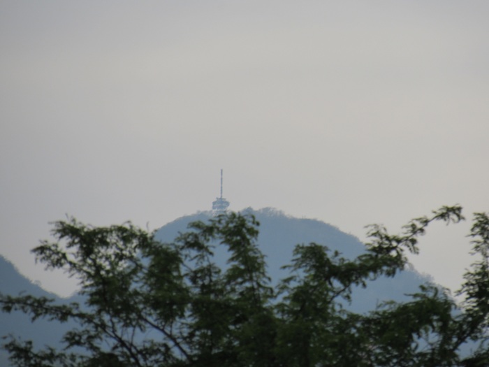 遠望