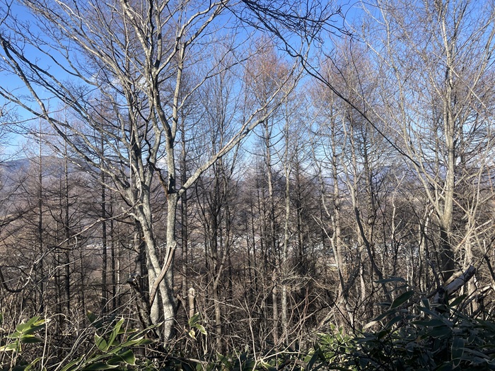 景色
