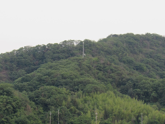 遠望2