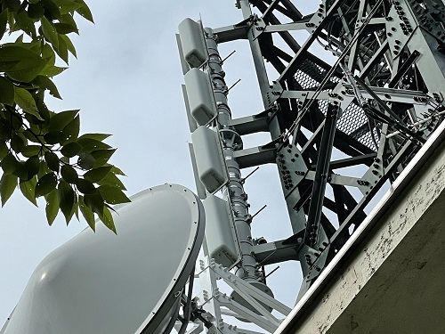 筑西局送信アンテナ2