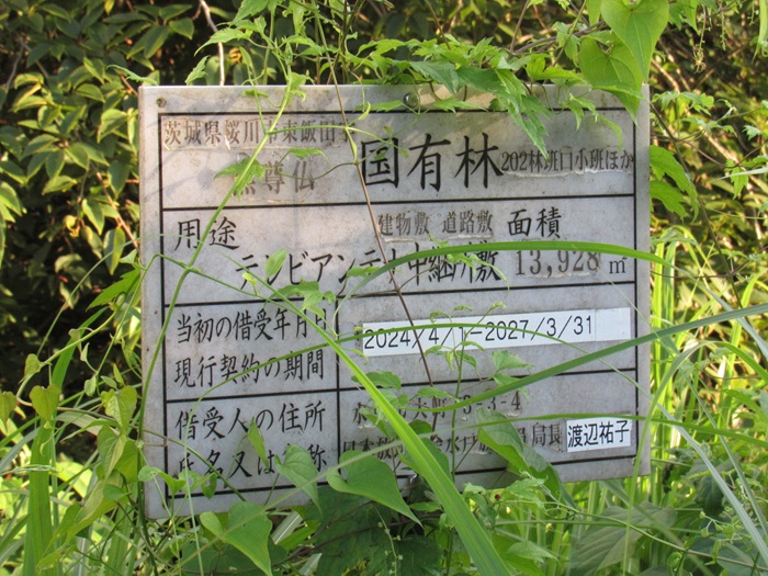 看板