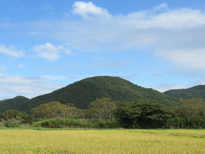 遠望撮影