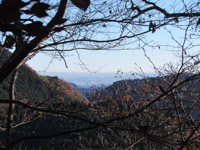 遠望撮影