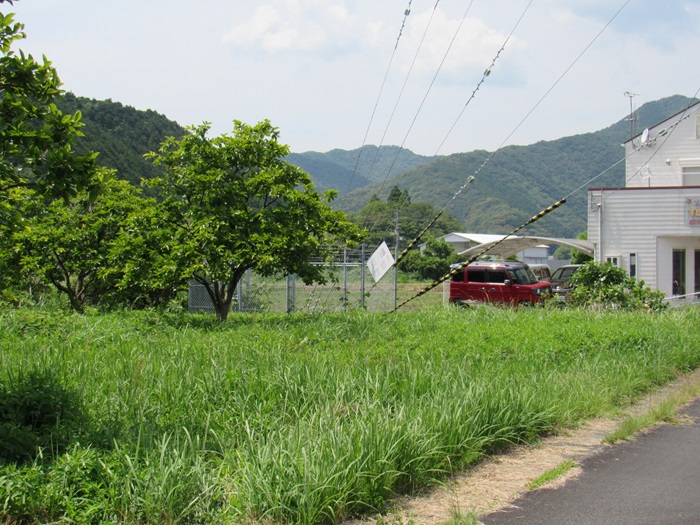 支線基部2