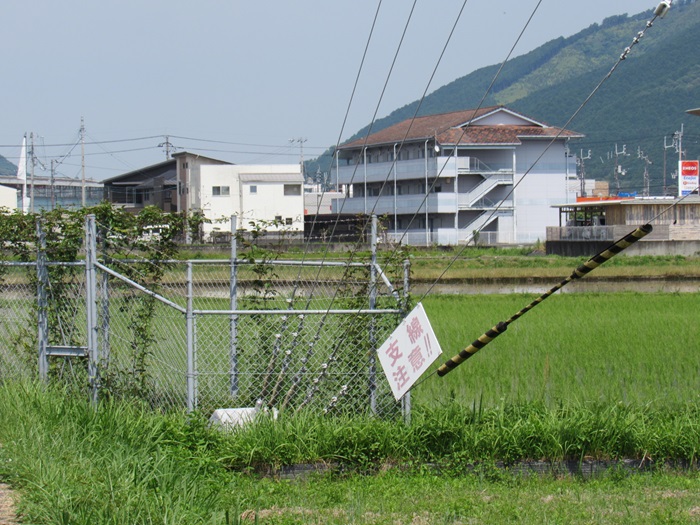 支線基部3