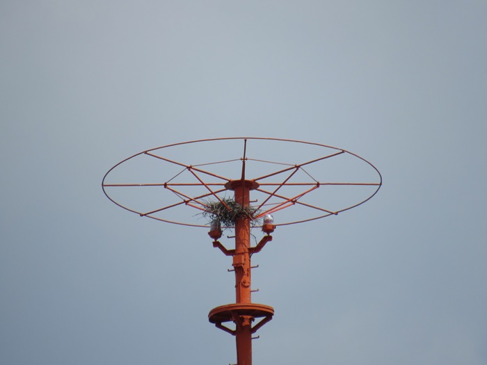 頂冠2