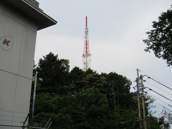 遠望