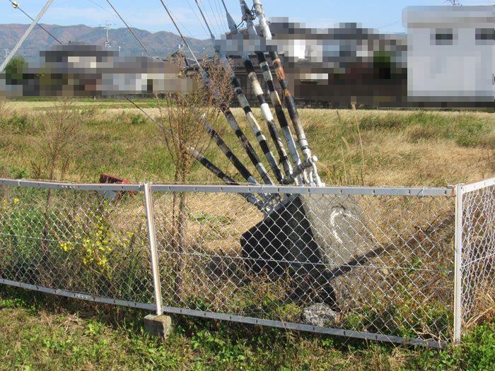 支線基部