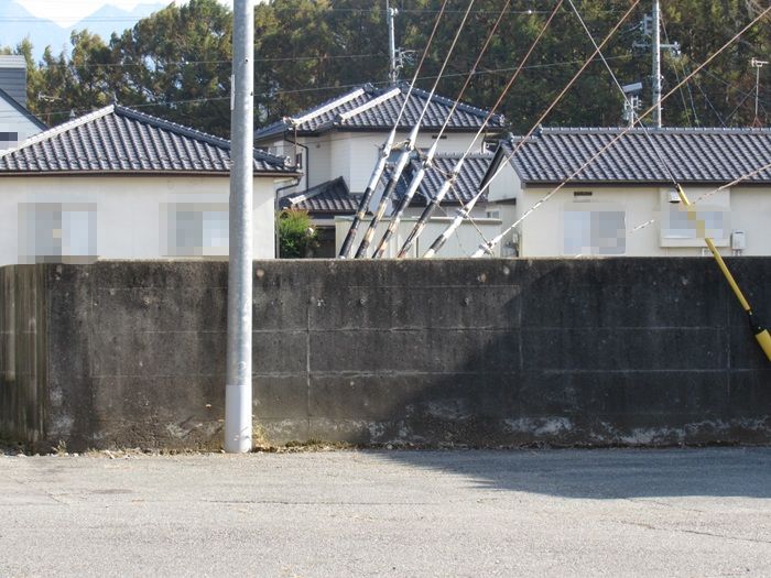 支線基部2