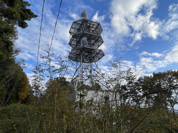 NTT