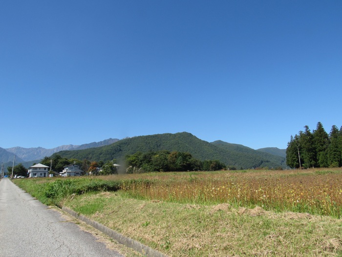 遠望撮影