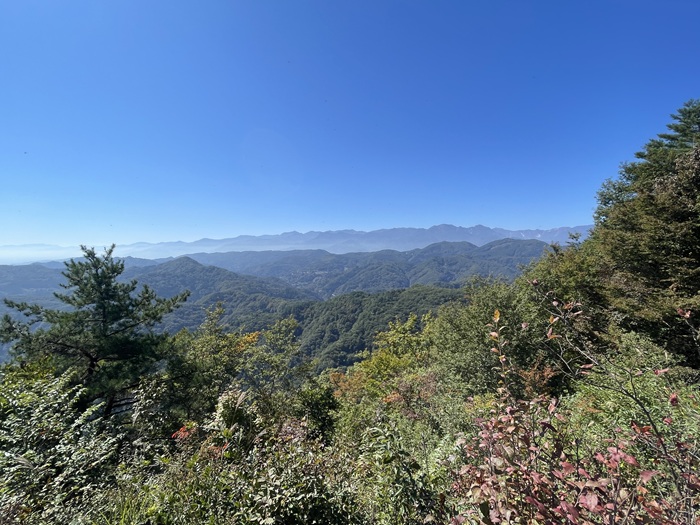景色