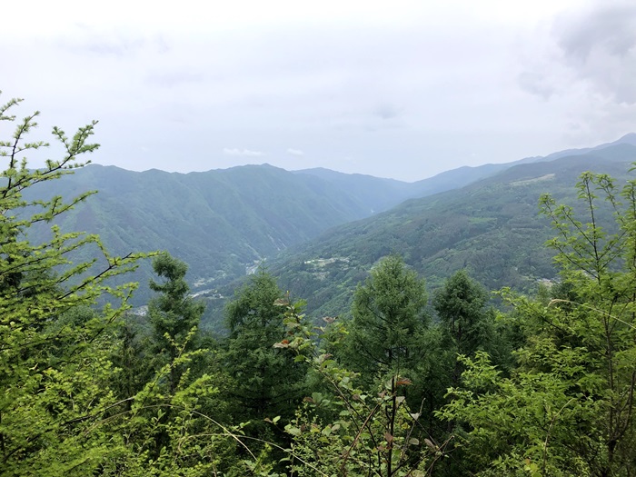 景色