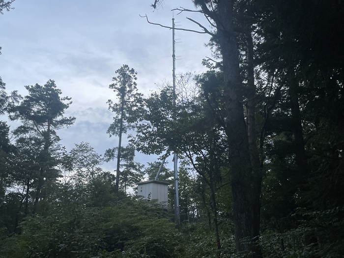 シバラジ