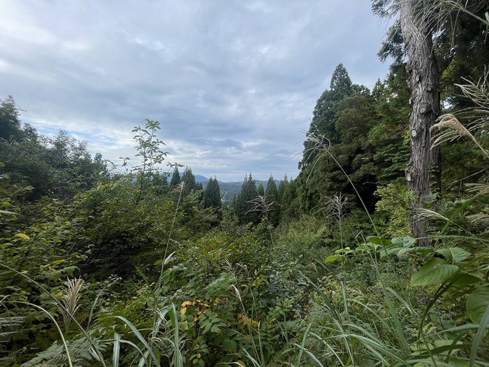 景色