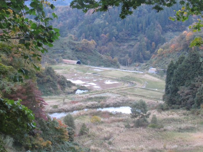 景色