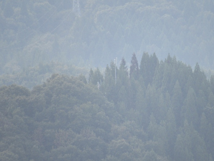 遠望撮影3