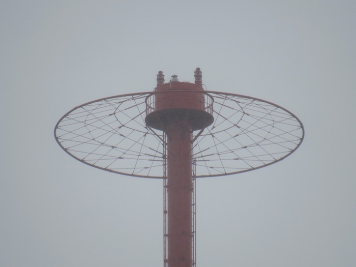 頂冠