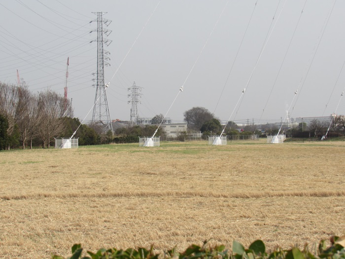 支線杭