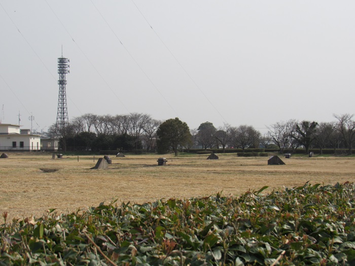 支線杭3