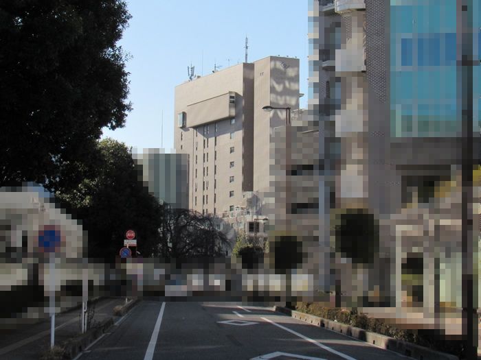全体像
