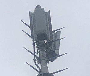 送信アンテナ