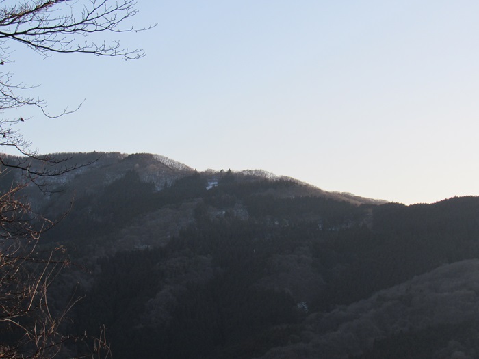 遠望
