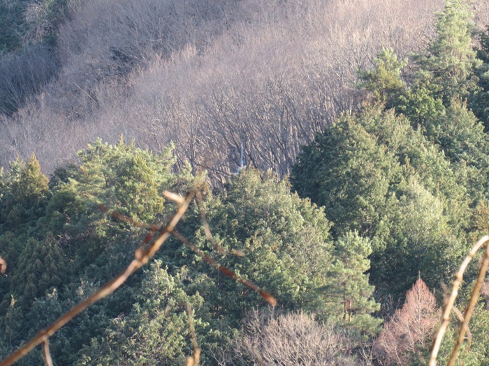 遠望撮影2