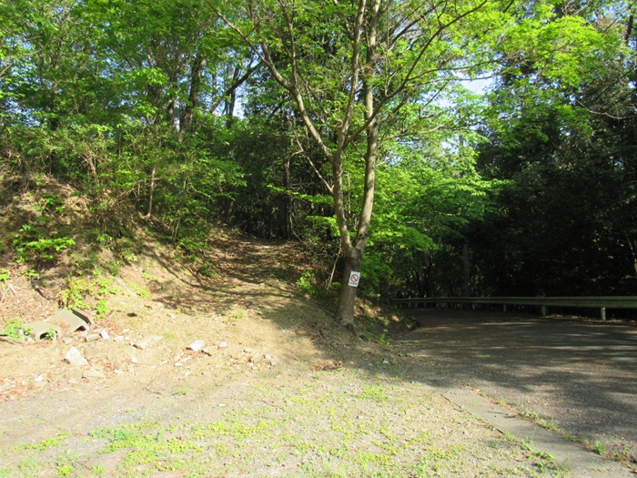 路