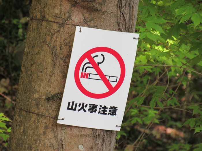 路2